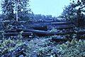 Nan Madol 13