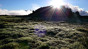 Archivo:Paisaje cerca de Isora