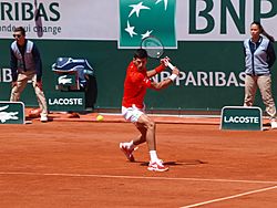 Archivo:Paris-FR-75-open de tennis-2019-Roland Garros-court Chatrier-6 juin-Djokovic-11