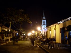 Archivo:Paseoelcarmen