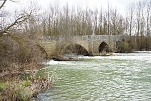 Archivo:Puente de Astudillo-P