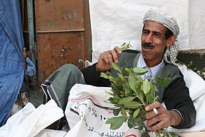 Archivo:Qat man