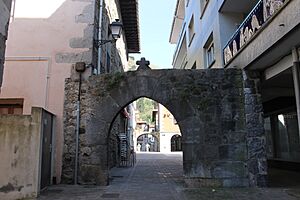 Archivo:RI-51-0001488 Arcos de entrada de la villa.