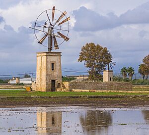 Archivo:Reflejos de Molino de Viento (22808302018) (recorte)