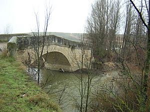 Archivo:Rio Duratón puente romanico Duratón