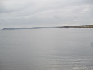 Archivo:Sabine River at Toledo Bend IMG 7524