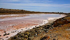 Salinas de Juncalillo del Sur.jpg