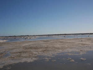 Archivo:Salt of Manaure, La Guajira - Colombia