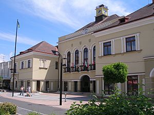 Archivo:Slovakia Town Michalovce 4