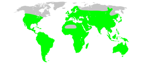 Archivo:Solanaceae map