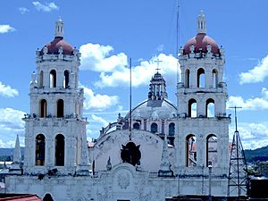 Archivo:Torres del Templo de la Compañía, Puebla