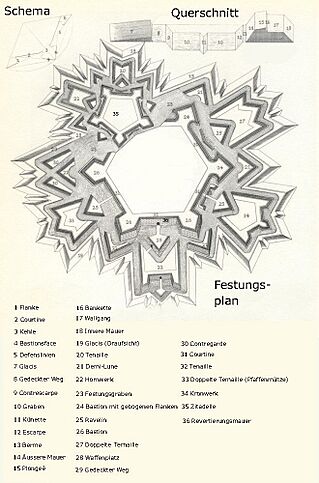 Vesting index.jpg