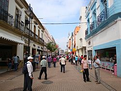 Archivo:Villahermosa Calle Juárez