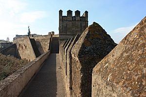 Archivo:Wall of Alcazaba, Badajoz (ES) - panoramio