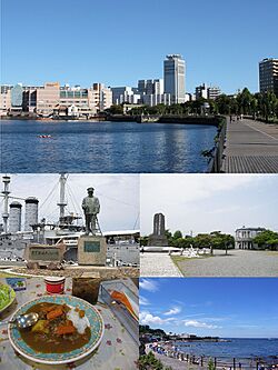 Yokosuka Montage.jpg